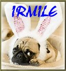 IRMILE
